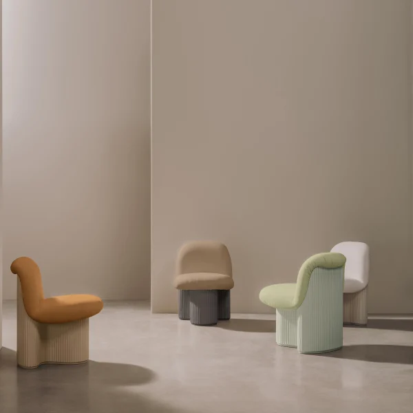 Bolete Lounge BIO
